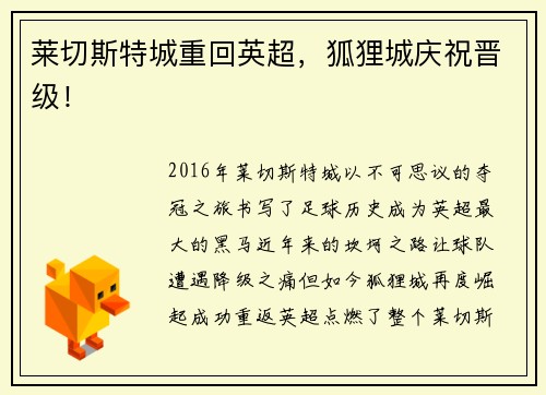 莱切斯特城重回英超，狐狸城庆祝晋级！