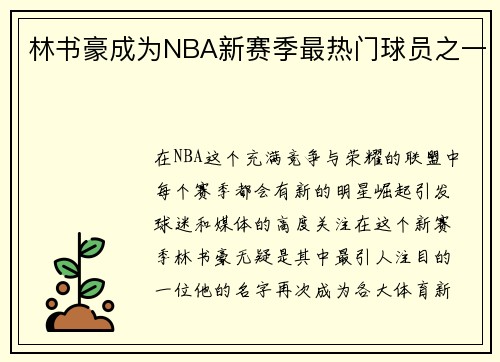 林书豪成为NBA新赛季最热门球员之一